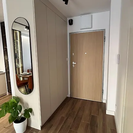 Luksusowy Z Klimatyzacja I Garazem Podziemnym W Centrum Miasta